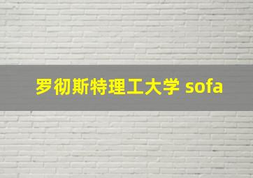 罗彻斯特理工大学 sofa